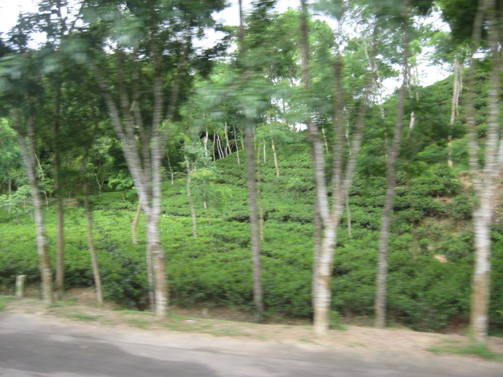 Beautiful Bangladesh